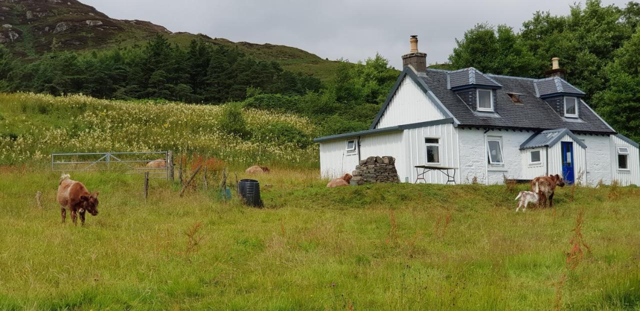 Isle Of Carna, Secluded Scottish Island, Loch Sunart Villa Acharacle Dış mekan fotoğraf